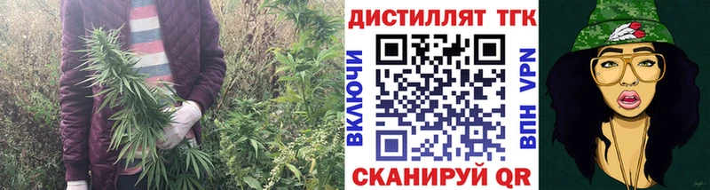 ТГК концентрат  кракен вход  Зарайск 